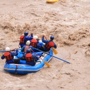 whatsapp image 2026 03 11 at 22.00.02