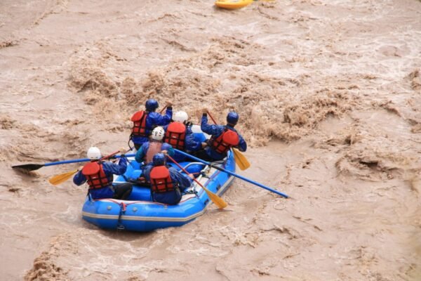 whatsapp image 2026 03 11 at 22.00.02